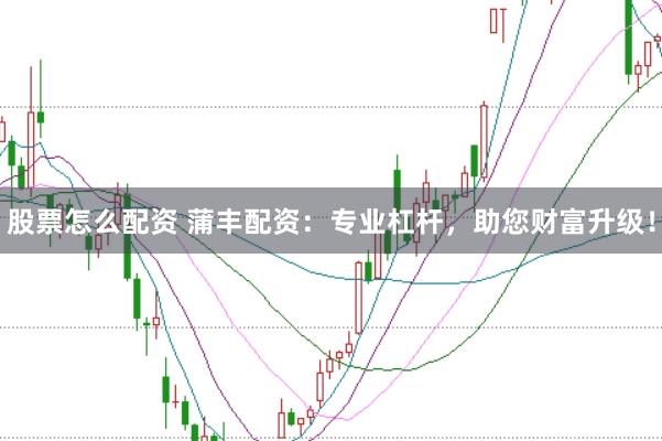 股票怎么配资 蒲丰配资：专业杠杆，助您财富升级！