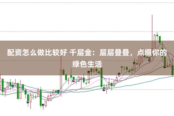 配资怎么做比较好 千层金：层层叠叠，点缀你的绿色生活
