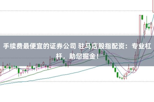 手续费最便宜的证券公司 驻马店股指配资：专业杠杆，助您掘金！