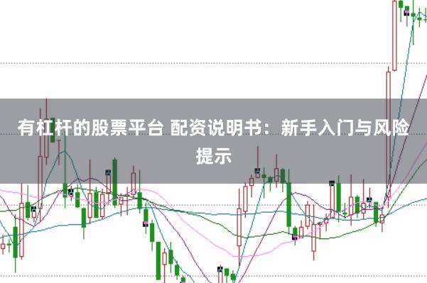 有杠杆的股票平台 配资说明书：新手入门与风险提示