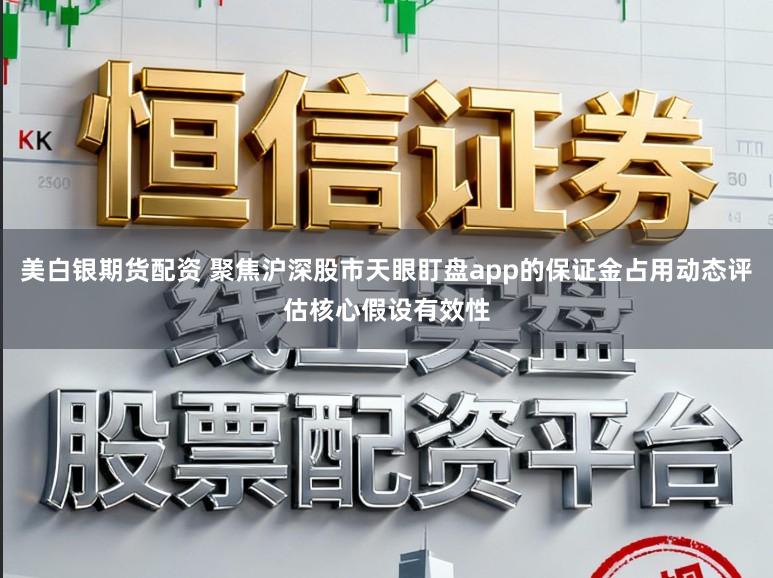 美白银期货配资 聚焦沪深股市天眼盯盘app的保证金占用动态评估核心假设有效性