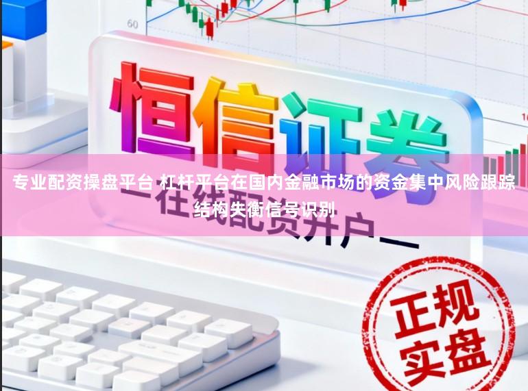 专业配资操盘平台 杠杆平台在国内金融市场的资金集中风险跟踪结构失衡信号识别